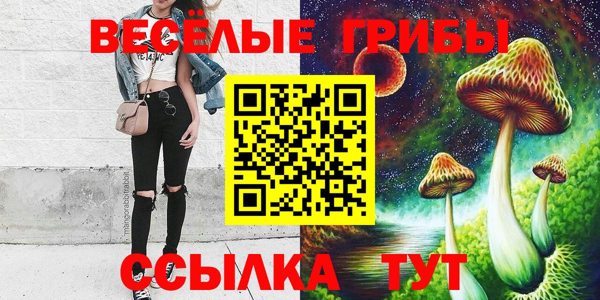 Галлюциногенные грибы Psilocybe Муравленко