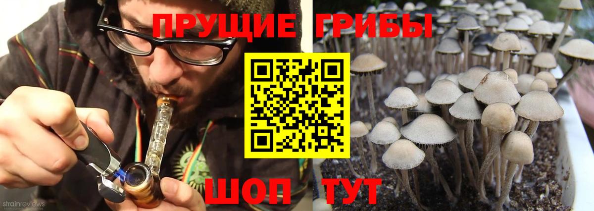 Муравленко  Псилоцибиновые грибы мухоморы  продажа наркотиков  Галлюциногенные грибы мухоморы  Вход с VPN 